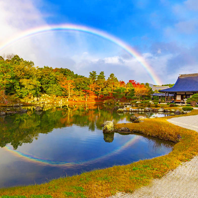 thiết kế sân vườn Nhật Bản đền Tenryuji