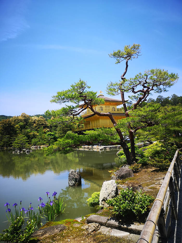 sân vườn nhật bản đền kinkaku-ji