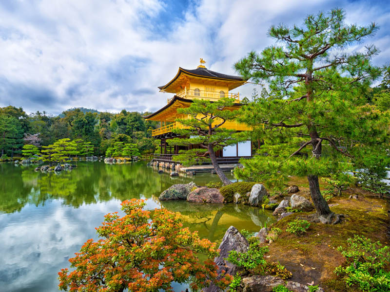 sân vườn nhật bản đền kinkaku-ji