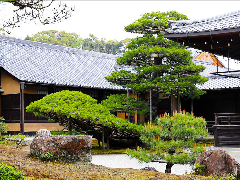 sân vườn nhật bản đền kinkaku-ji