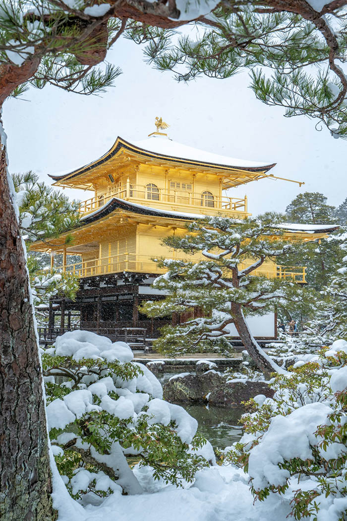 sân vườn nhật bản đền kinkaku-ji