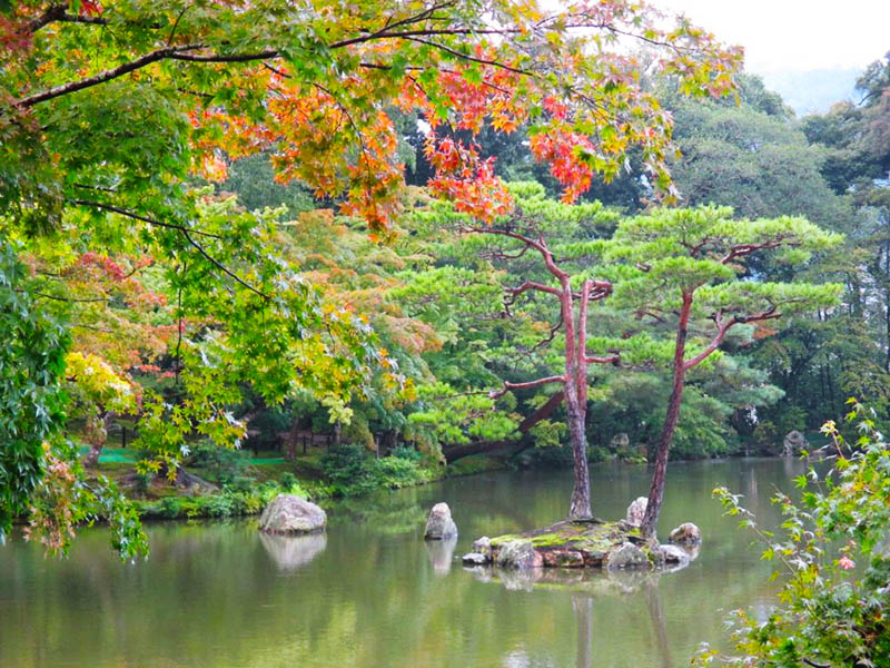 sân vườn nhật bản đền kinkaku-ji