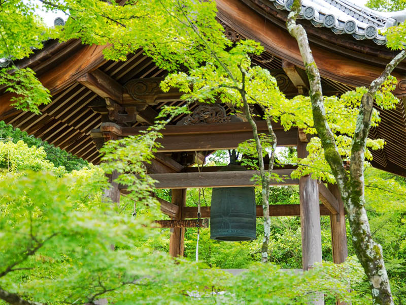 sân vườn nhật bản đền kinkaku-ji