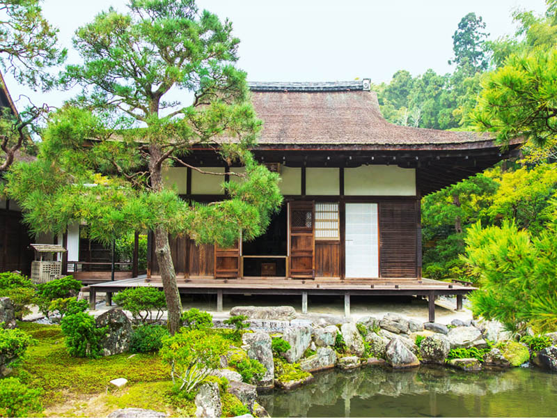 sân vườn nhật bản đền kinkaku-ji