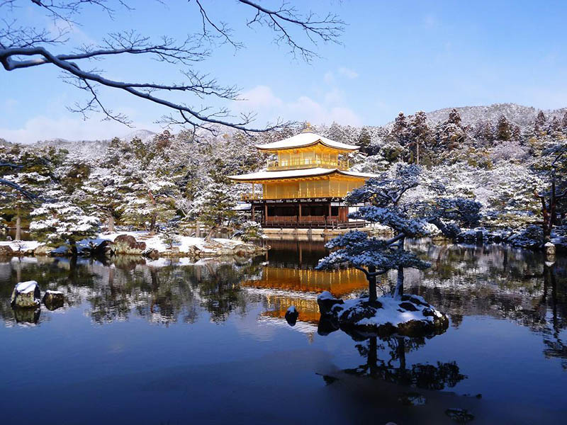 sân vườn nhật bản đền kinkaku-ji