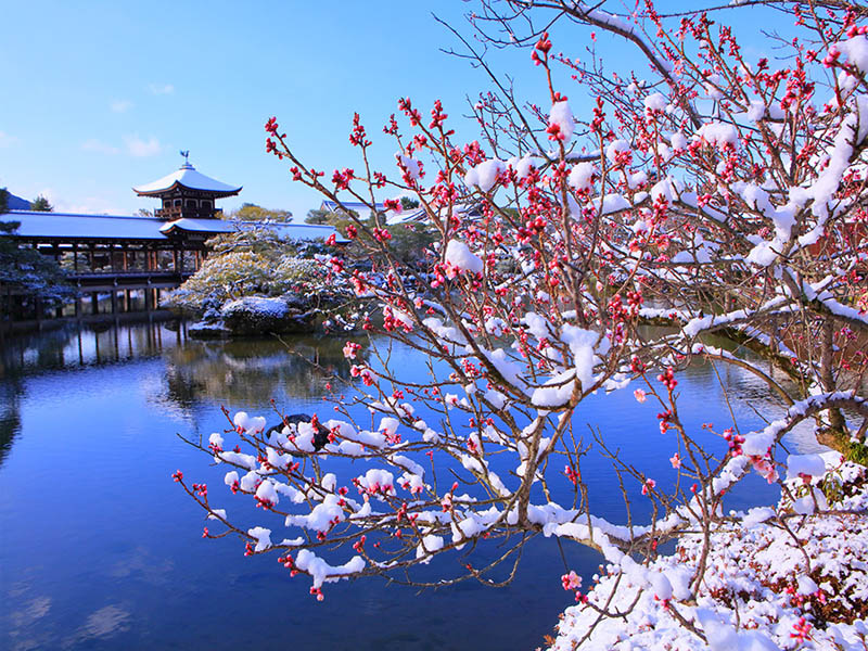 thiết kế sân vườn nhật bản heian jingu