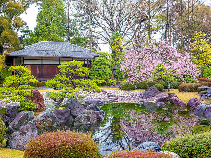 hồ cá koi sân vườn nhật bản biệt thự Nijo castle