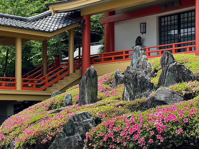 sân vườn Nhật Bản đền Matsuo Taisha