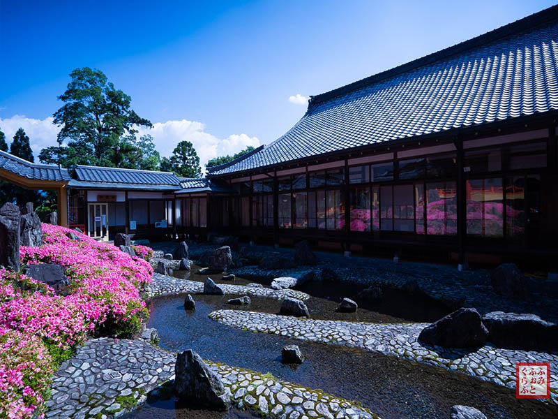 sân vườn Nhật Bản đền Matsuo Taisha