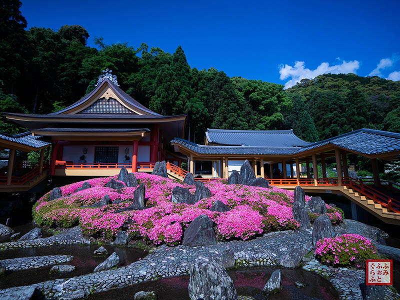 sân vườn Nhật Bản đền Matsuo Taisha