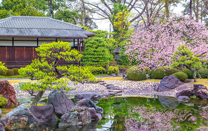 Thiết kế sân vườn nhật bản lâu đài nijo castle