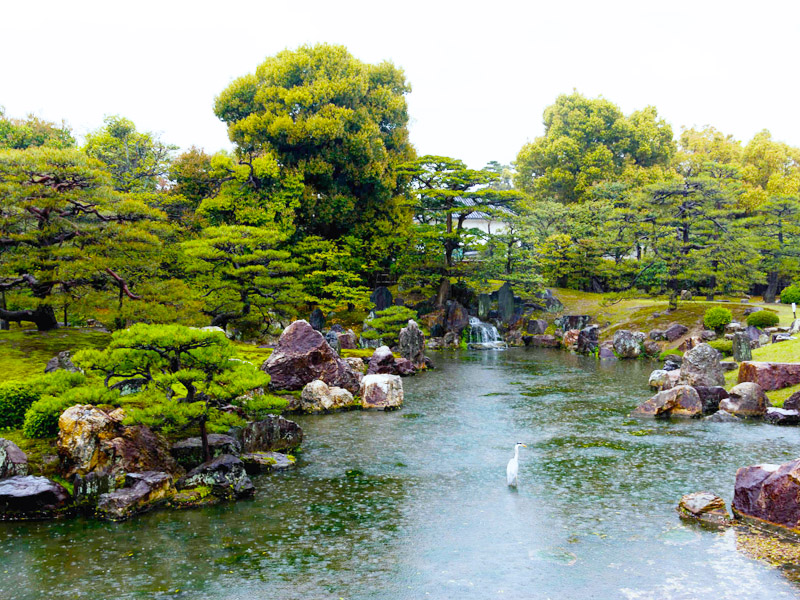 Thiết kế sân vườn nhật bản lâu đài nijo castle