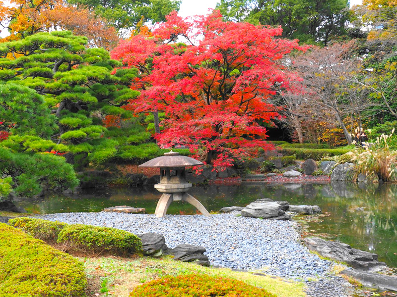 Thiết kế sân vườn nhật bản lâu đài nijo castle