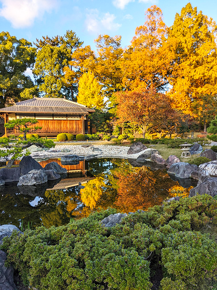 Thiết kế sân vườn nhật bản lâu đài nijo castle